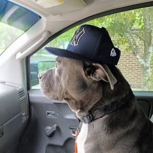 Meet your Posher, Edward